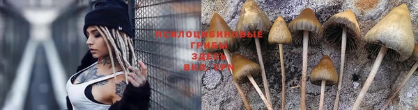 прущая мука Краснослободск
