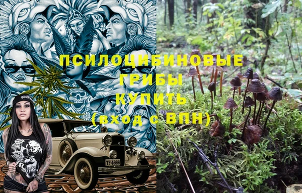 прущая мука Краснослободск